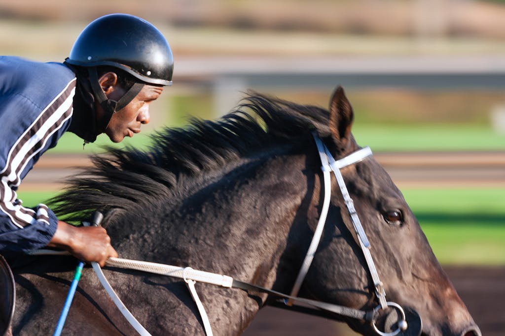 Man Riding Horse